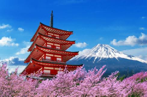 tariff act,japan tariff act,customs tariff act,japanese tariff act