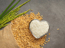 export,exports,india export,wheat export