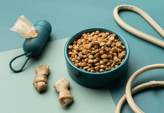 pet product,pet products,pet products industry,pet products category