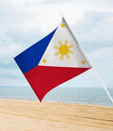 exporter philippines,importer exporter philippines,find exporter philippines