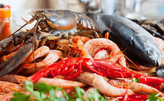 seafood importers,frozen seafood importers,global seafood importers