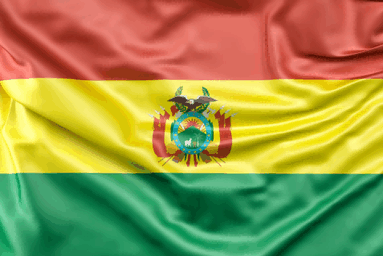 bolivian export,bolivian exports,bolivian export products