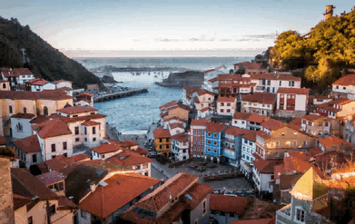 portugal import,portugal importing,portugal import export,portugal import products