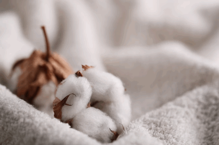 exporters of cotton,exporter of cotton,importer exporter of cotton,major exporter of cotton