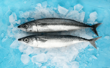 frozen seafood importers,find frozen seafood importers,best frozen seafood importers
