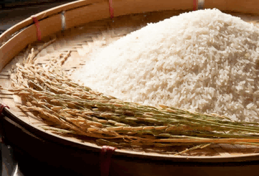 largest exporter of rice,the largest exporter of rice,find largest exporter of rice