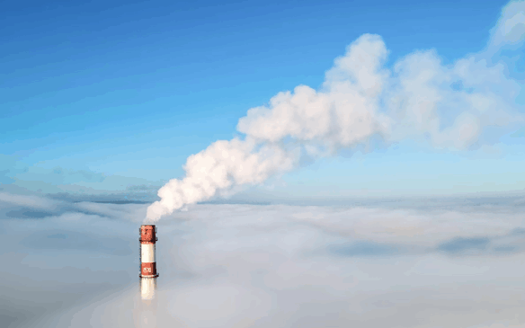 argentina natural gas export,argentina natural gas exports,argentina natural gas export business