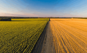ukraine agricultural exports,agricultural exports,ukraine exports