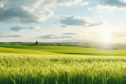 ukraine export,agricultural ukraine export,agricultural ukraine exports