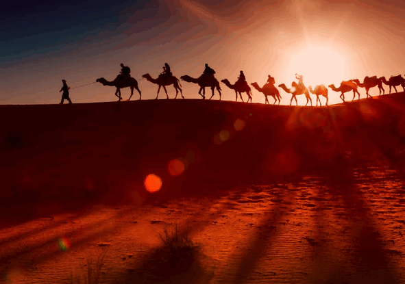 central asia import,central asia imports,central asia import export