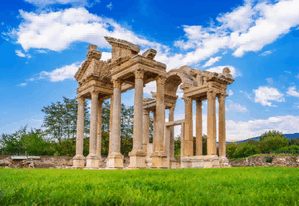 greek exporter,greek exporters,top greek exporter