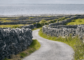 ireland imports,ireland imports exports,ireland imports market