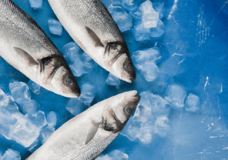 frozen seafood importers,find frozen seafood importers,best frozen seafood importers