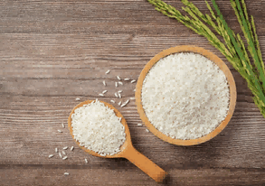 rice export,rice exports,rice exporter,india rice export
