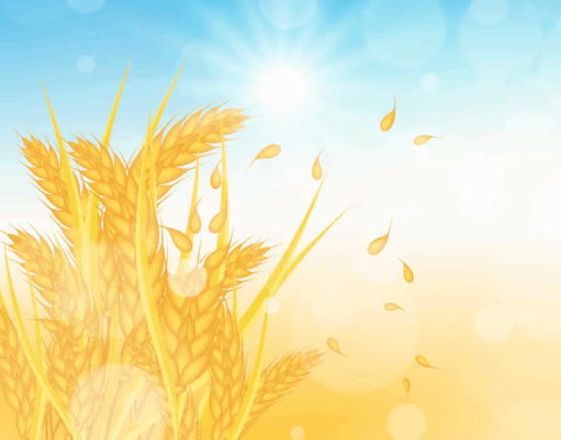 wheat export,ukraine wheat export,wheat exports