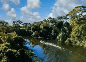 imports in costa rica,costa rica imports,products costa rica imports