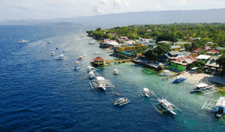 exporter philippine,exporter philippines,best exporter philippine