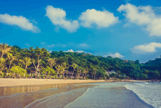 sri lanka's exports,sri lanka's exporters,sri lanka's export products