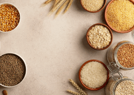 ukrainian grain,export ukrainian grain,ukrainian grain exports
