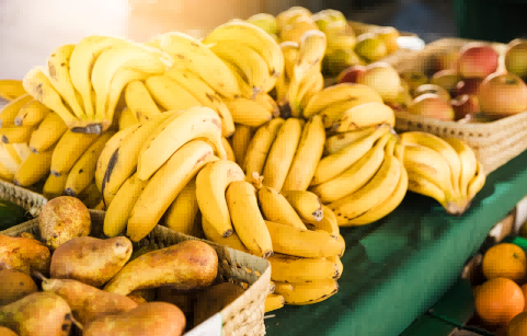 banana export,banana exports,banana exporters