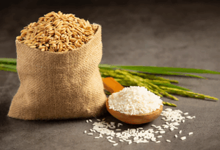 rice export,indian rice export,rice exports