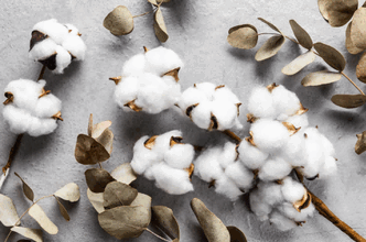 export to sudan,cotton export to sudan,cotton sudan exports