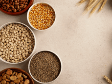 global food prices,food prices increase,global food market