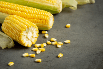 corn imports,corn import,corn importers
