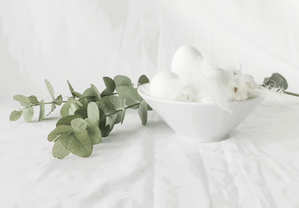 cotton export,cotton exports,cotton exporters