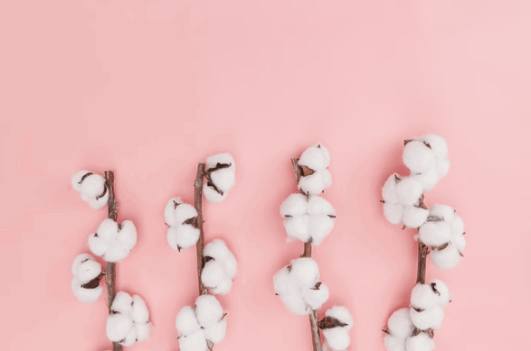 cotton exporter,cotton exporters,cotton export