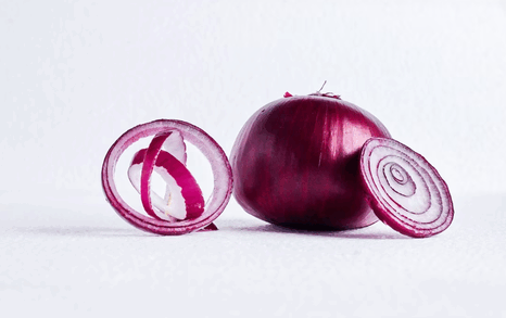onion export,onion exports,onion exporter