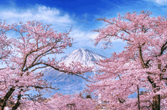 japan import,japan import trends,japan import products