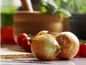 india export tax,india onion export,india onion export tax