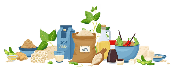 import organic from spain,spain organic market,spain organic import