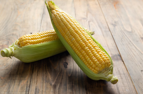 corn market,corn import trends,corn import market