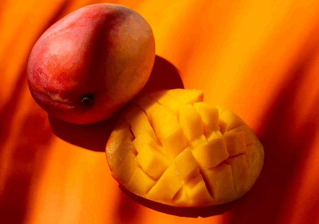 pakistan mango exporters,pakistan exporters,pakistan export