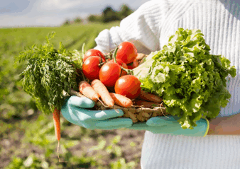 india agricultral trade,india export,india food price