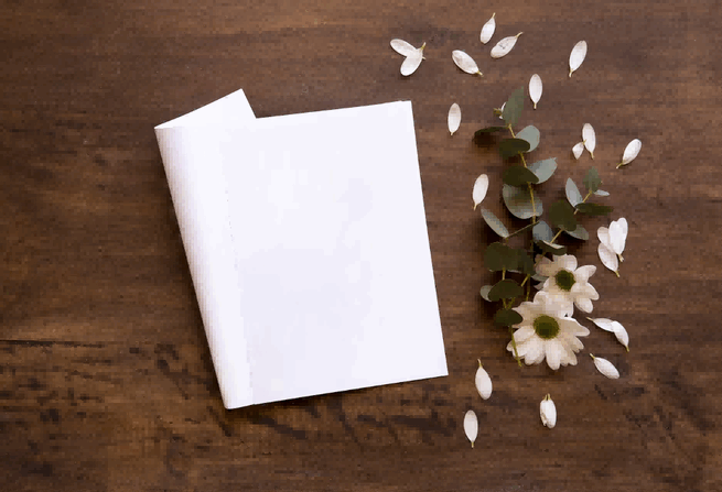paper export,paper exporter,largest paper exporter