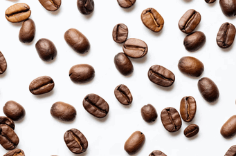 exports from honduras,coffee exports from honduras,trends exports from honduras