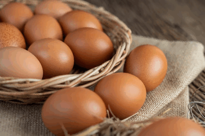 bangladesh import eggs,bangladesh import,bangladesh import egg