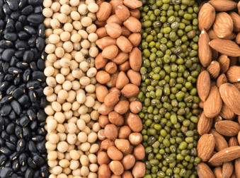 ukrainian grain ban,ukrainian grain import,impose ukrainian grain ban