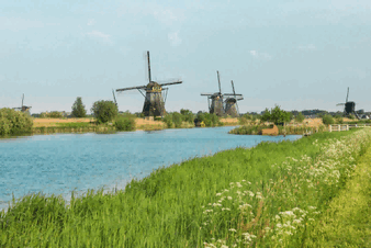 holland imports,holland imports products,holland imports market