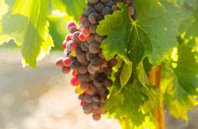 spain food imports,spain food imports types,spain food imports landscape,spain food imports market