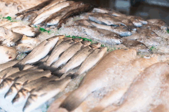 seafood import,global seafood import,seafood import market