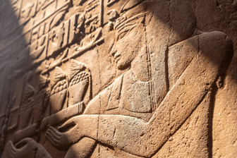 egyptian exporter,egyptian export,egyptian export market