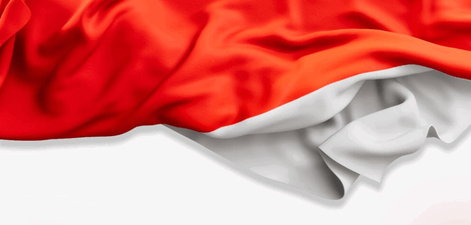 indonesia import,indonesia export,indonesia customs data