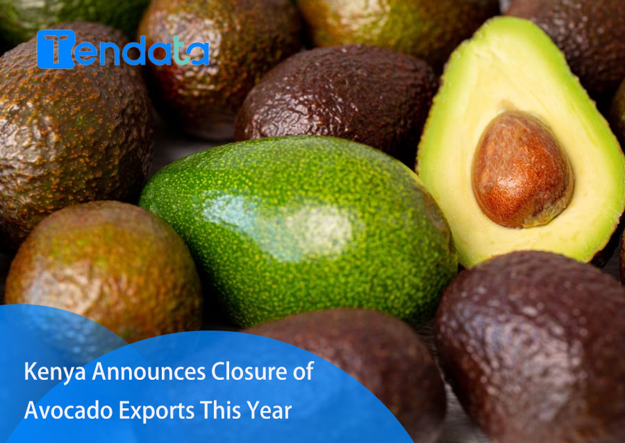 avocado export,kenya avocado export,kenya avocado exports