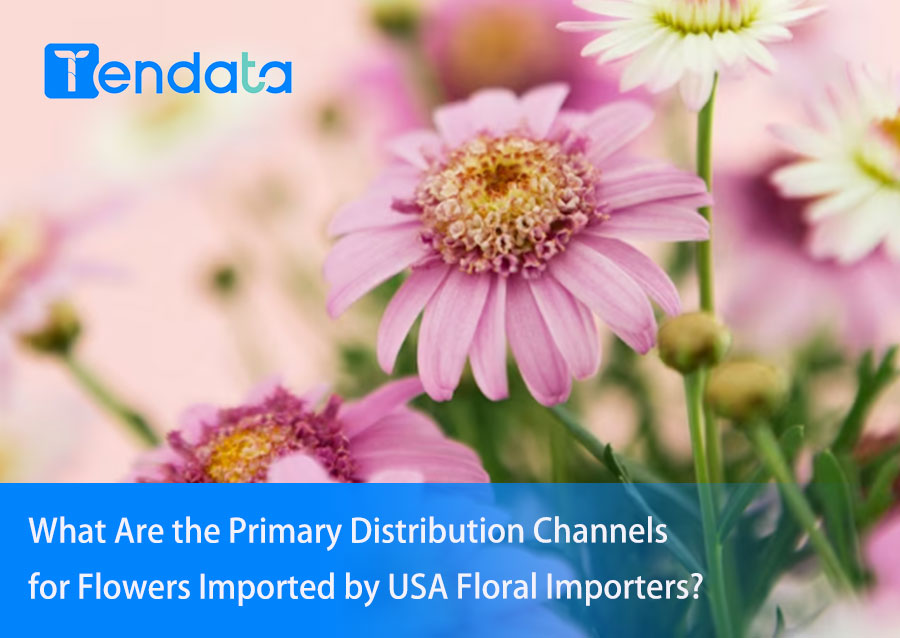 floral import,floral importer,floral imports