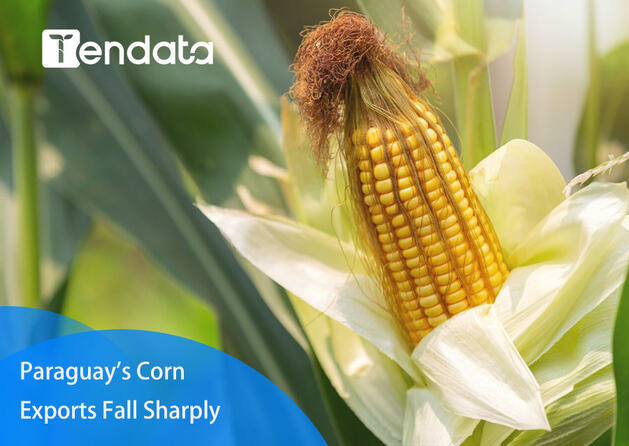 paraguay corn exports,paraguay corn export,corn export