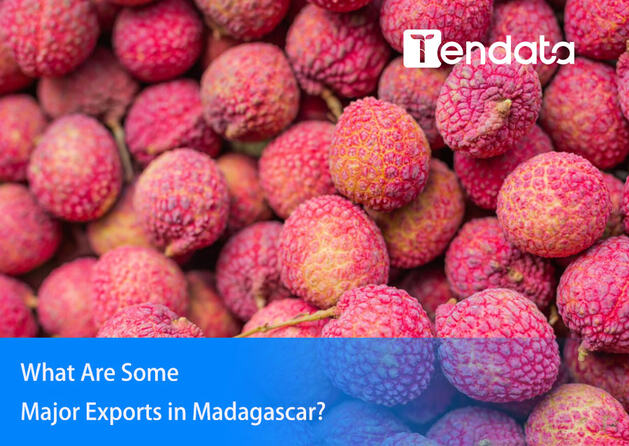 major exports in madagascar,exports in madagascar,export in madagascar